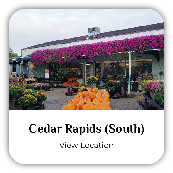 South Cedar Rapids, Iowa, Earl May Garden Center storefront.